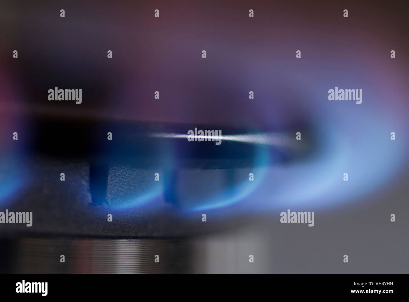 gas hob with blue flame Stock Photo