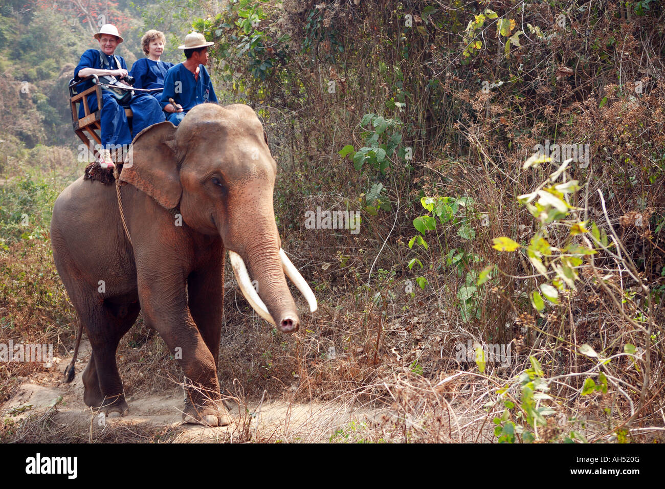 Elephant rides hi-res stock photography and images - Alamy