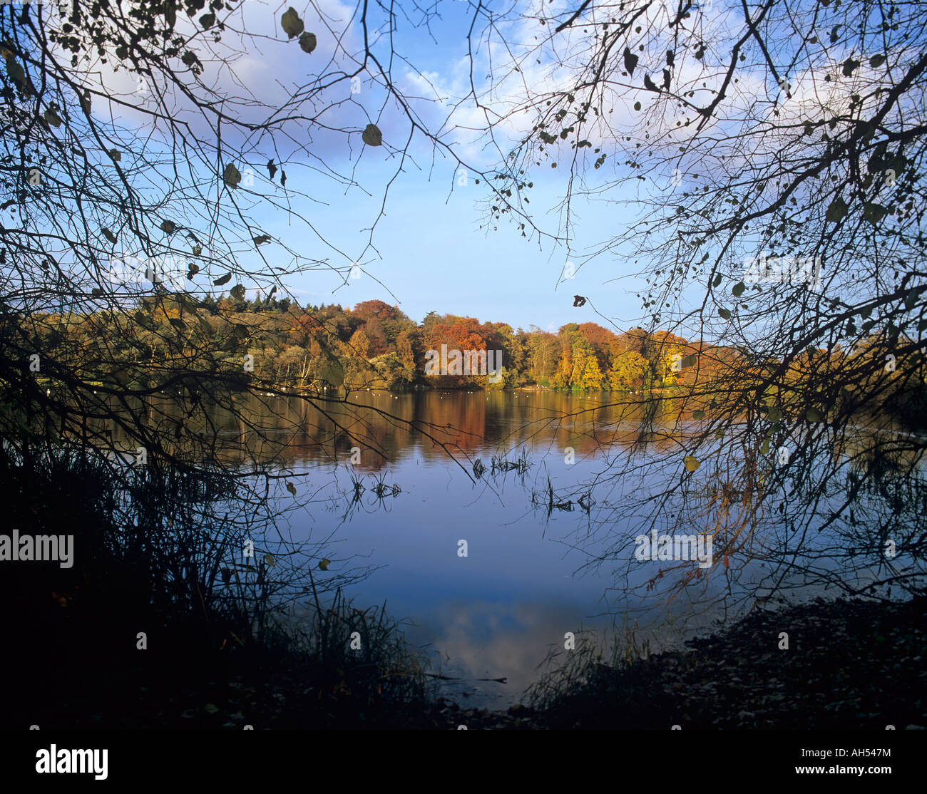 Bolam Lake in Northumberland in the autumn Stock Photo Alamy