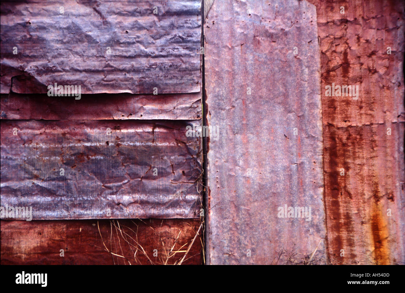 corrugated iron shed wall queensland Australia 2201 Stock Photo Alamy