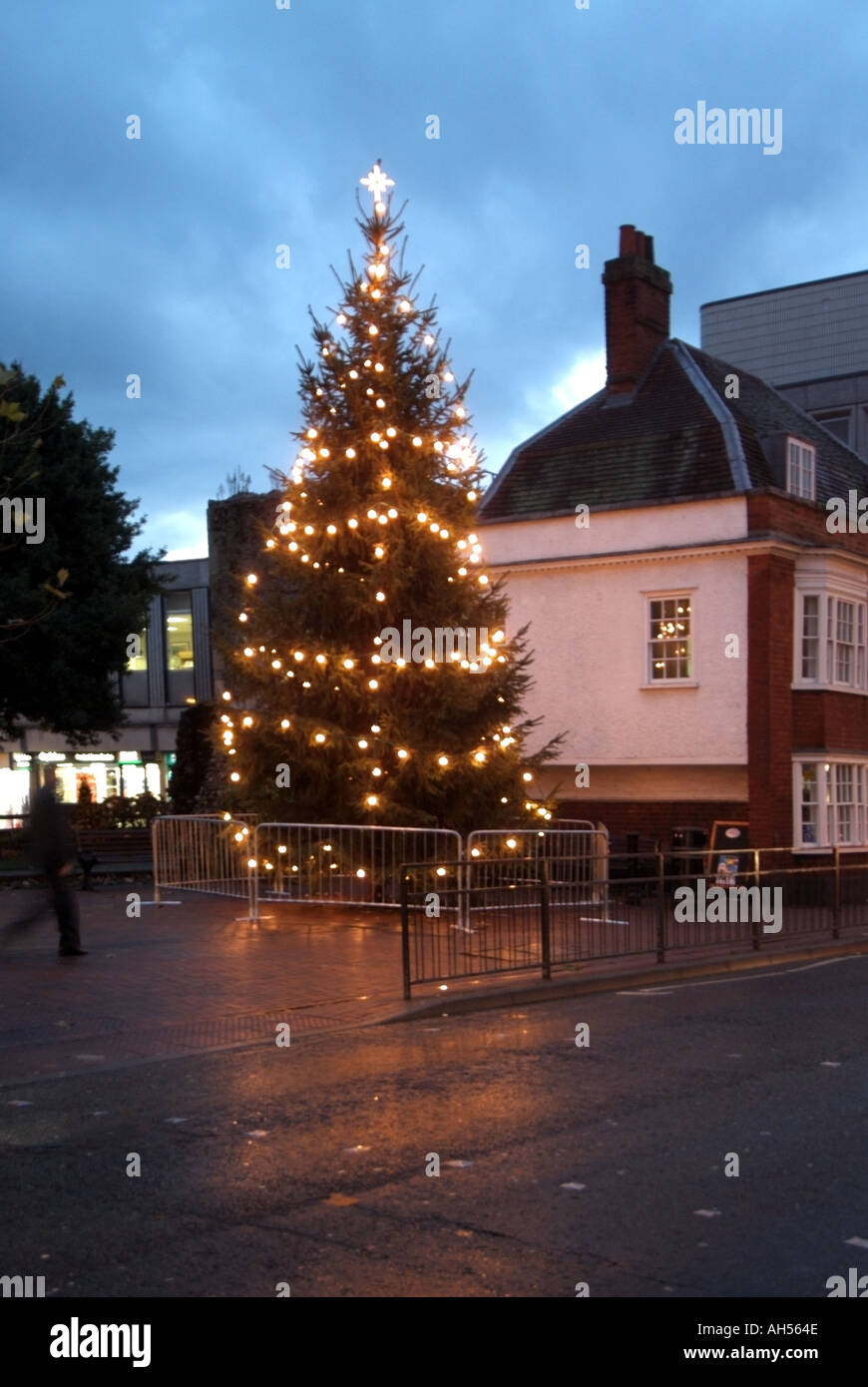 Brentwood High Street illuminated Christmas tree provided by local