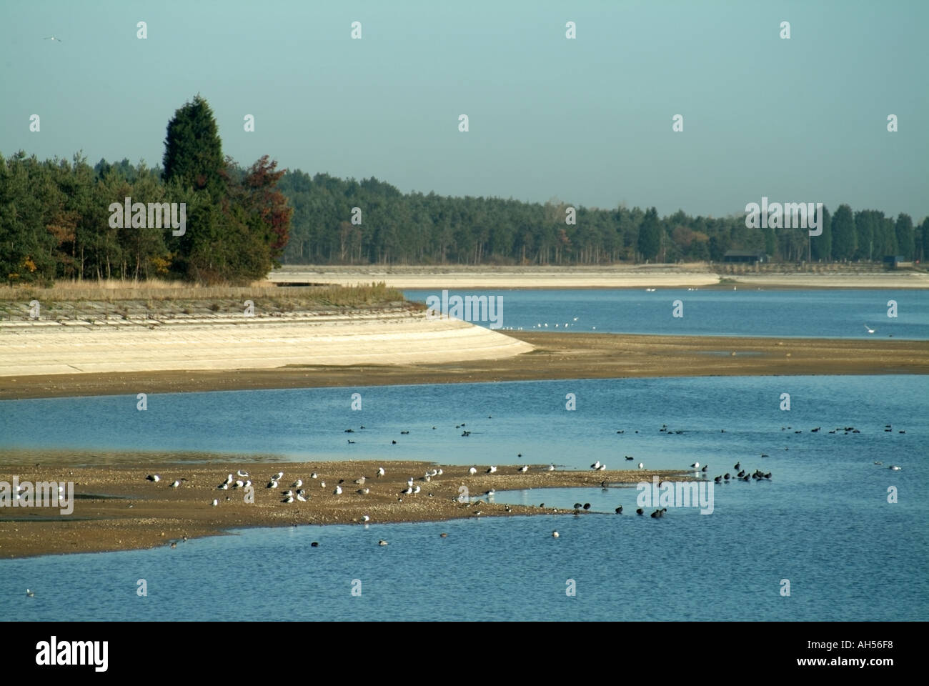 Low drought water levels at Hanningfield Reservoir near villages of Stock Downham South Hanningfield and town of Billericay Stock Photo