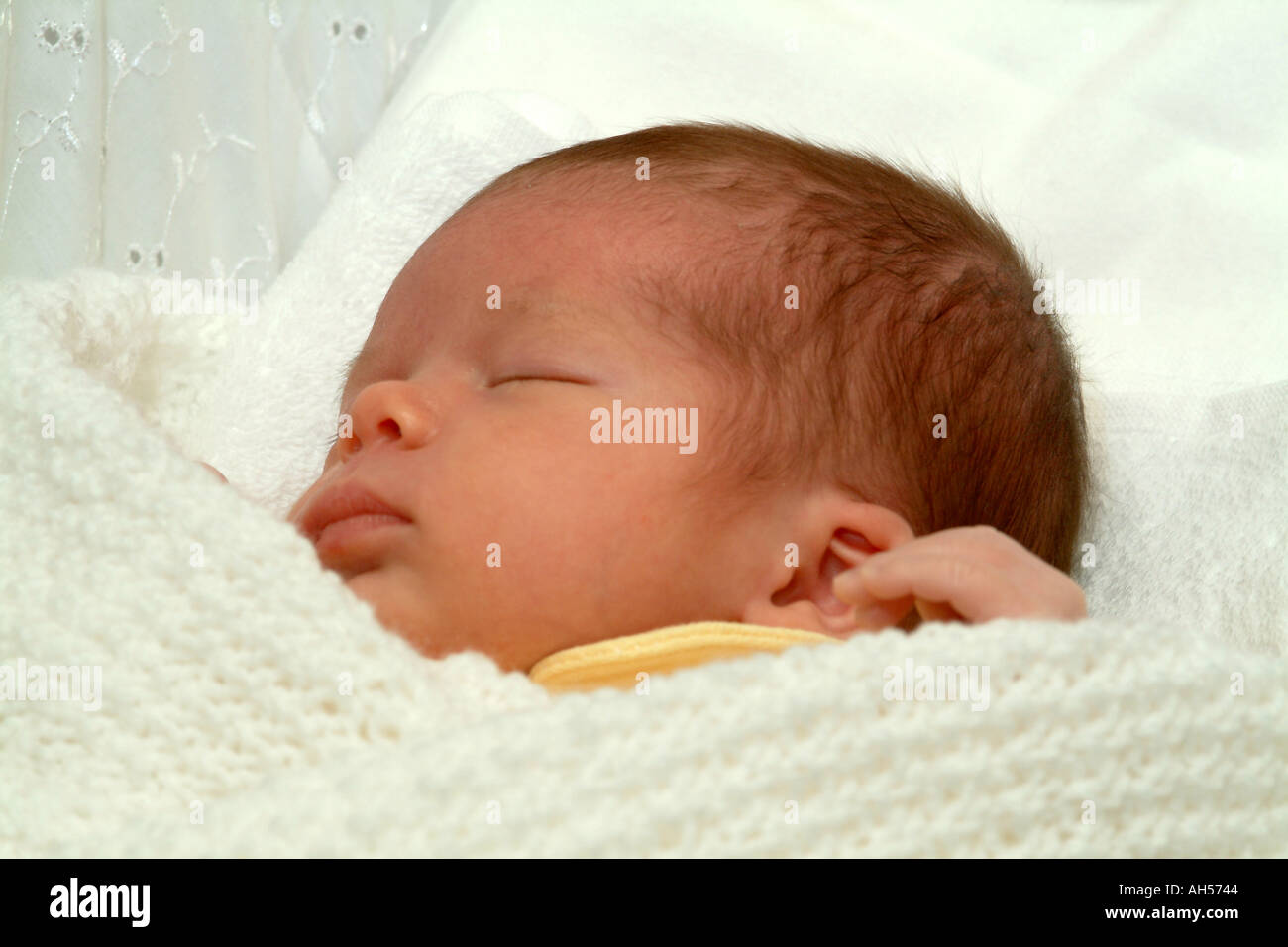 Baby sleeping in cot Stock Photo Alamy
