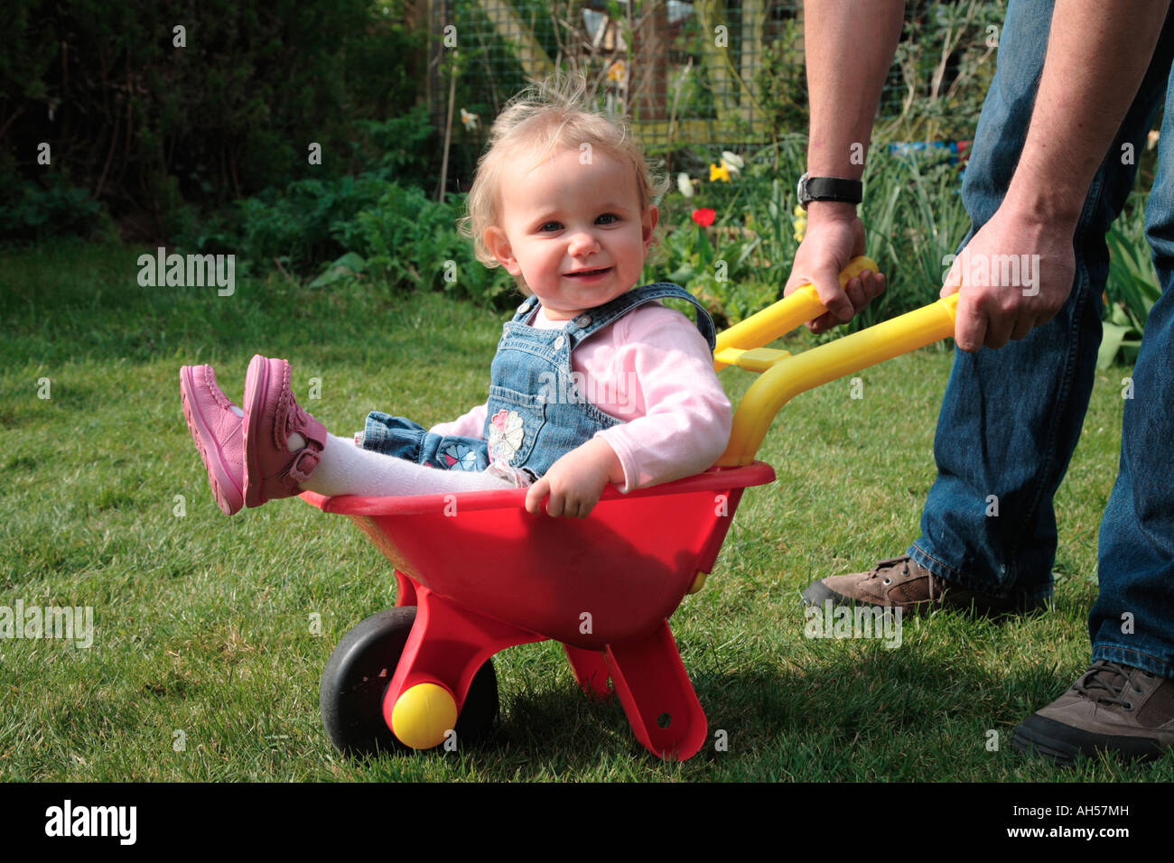 Little girl sitting in toy wheelbarrow Stock Photo - Alamy