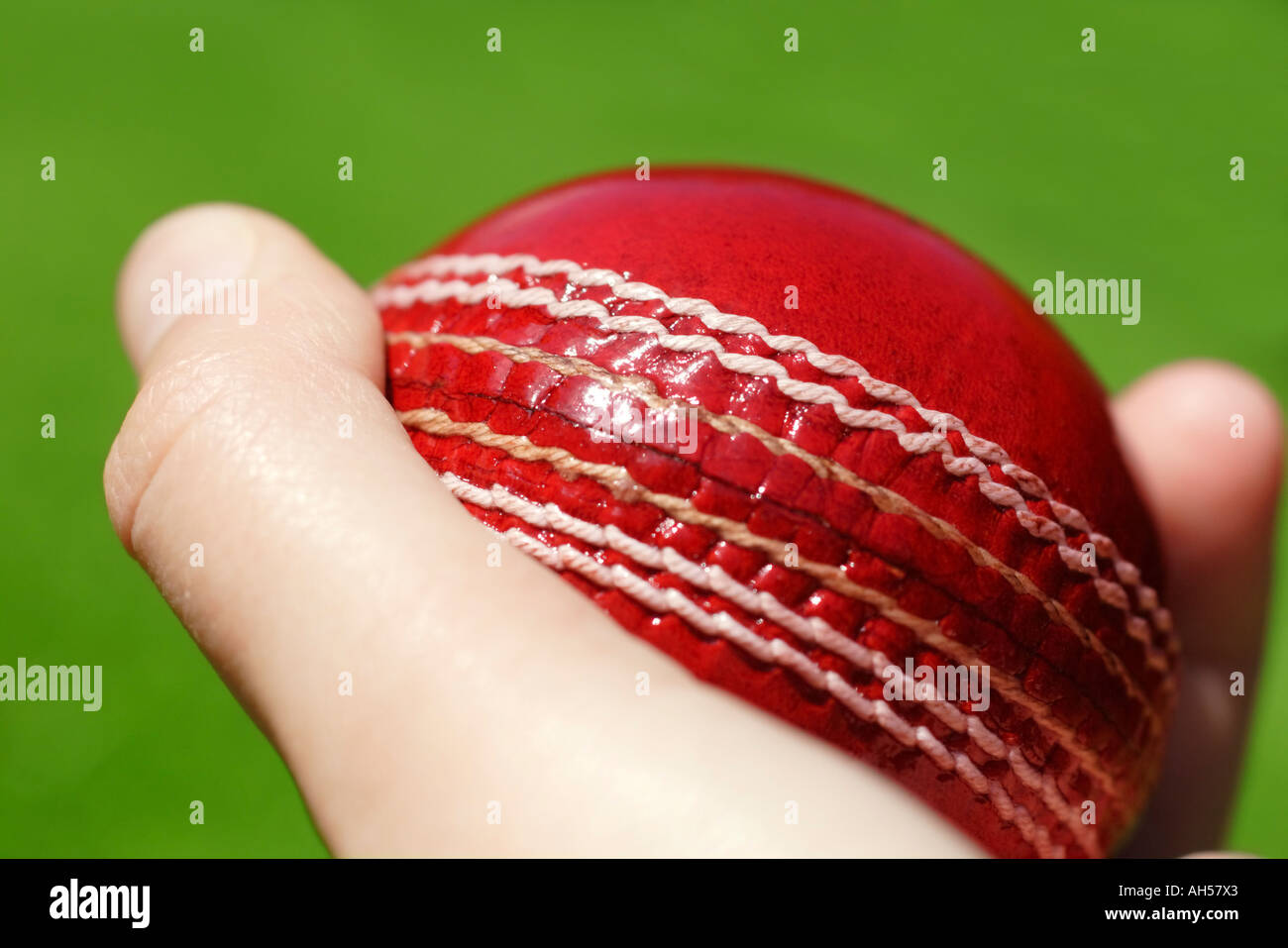 cricket ball in hand Stock Photo Alamy