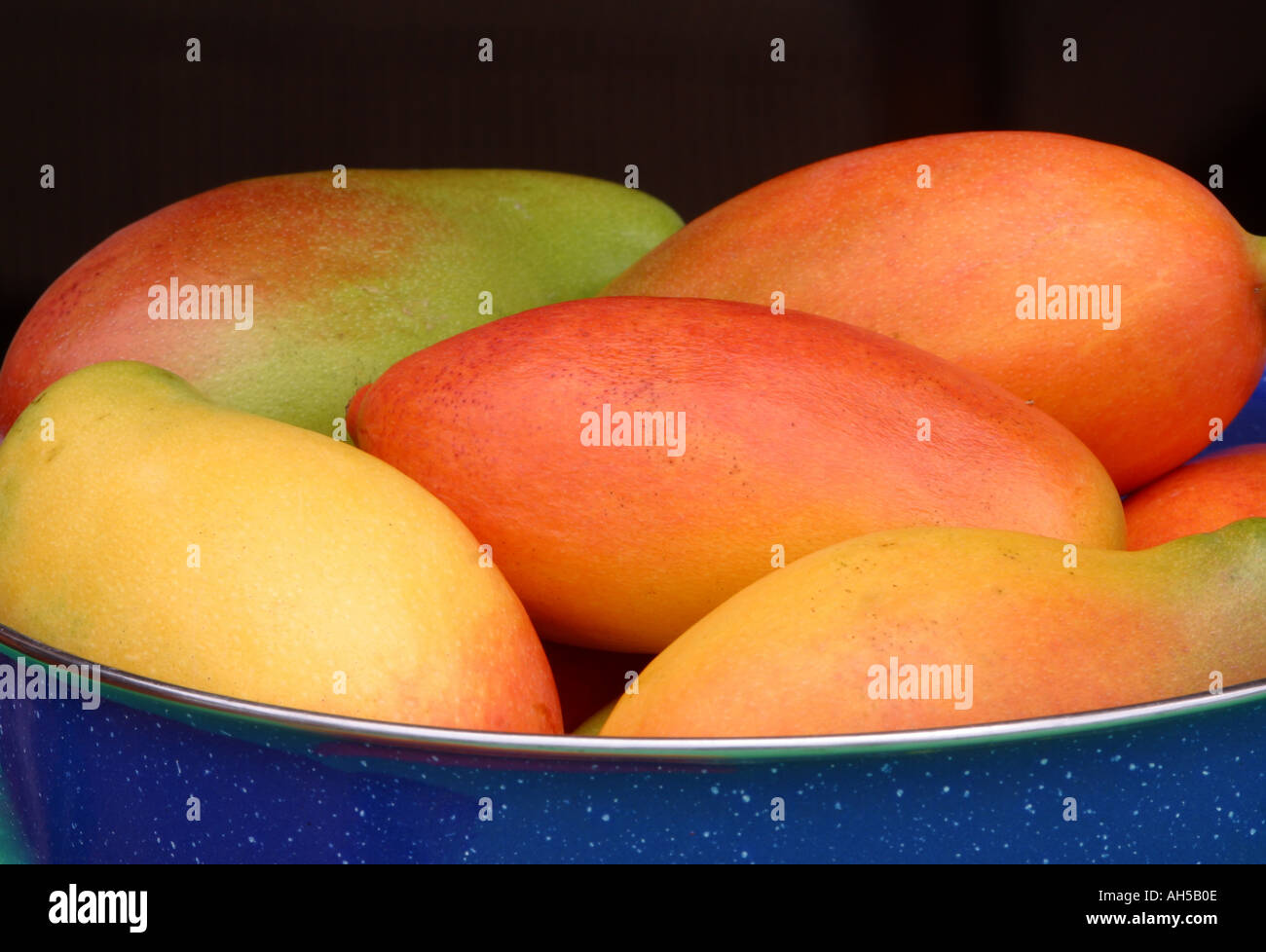 Mangoe Fruit in blue bowl Stock Photo