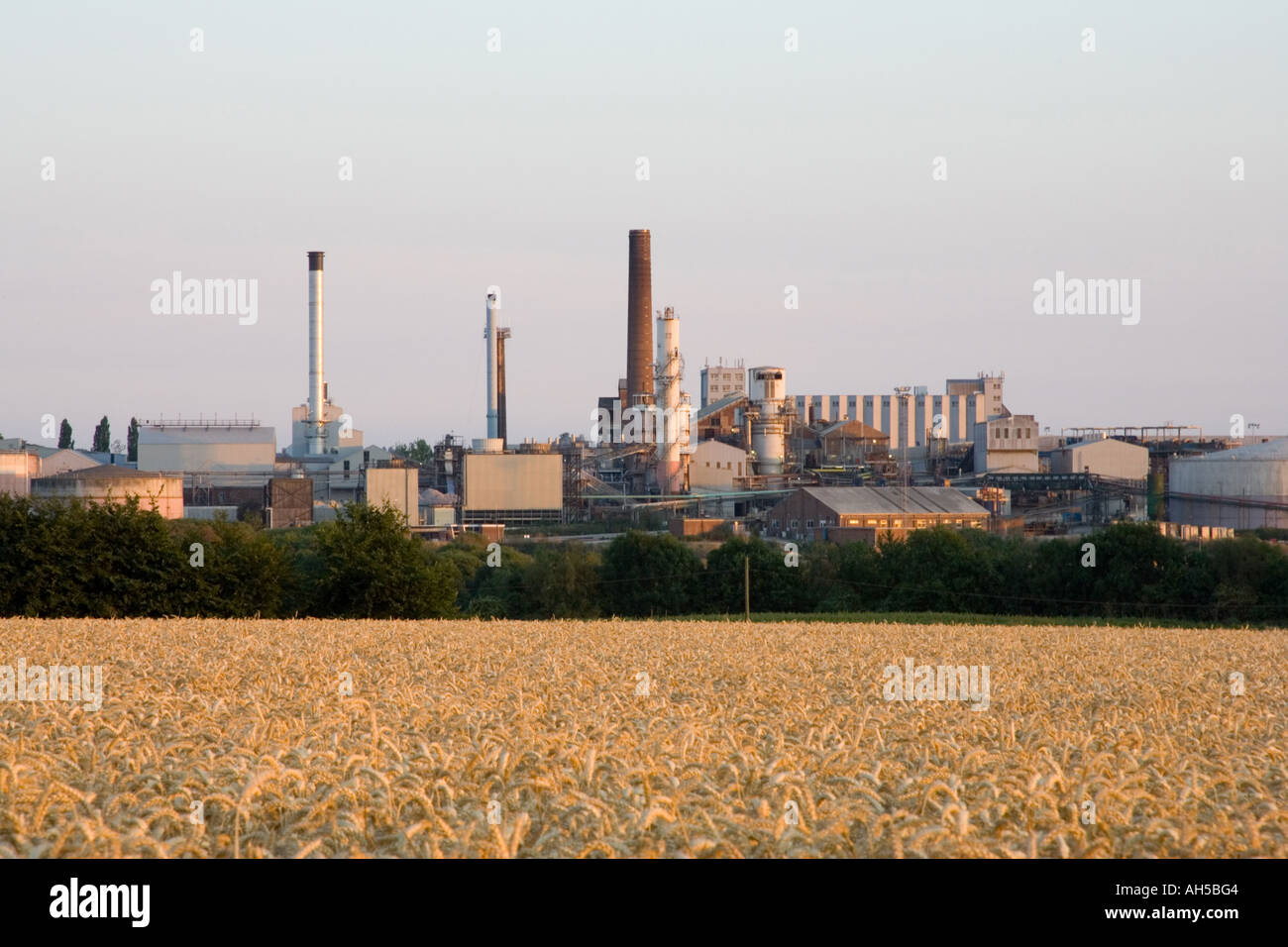 The British Sugar beet processing factory at Bury St Edmunds in Suffolk