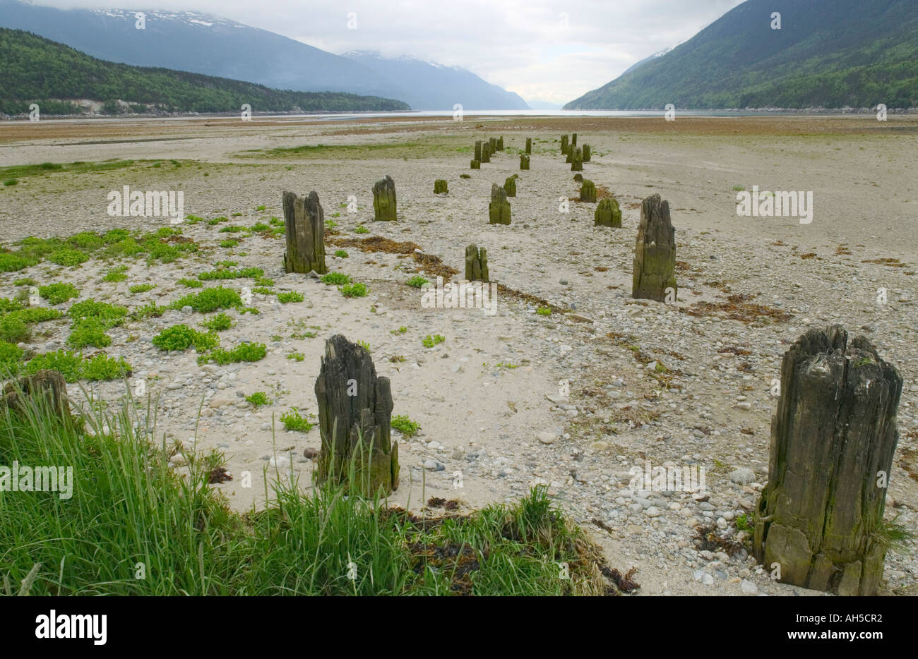 Remains of an old harbour wharf, Dyea, near Skagway, Alaska, USA. Stock Photo