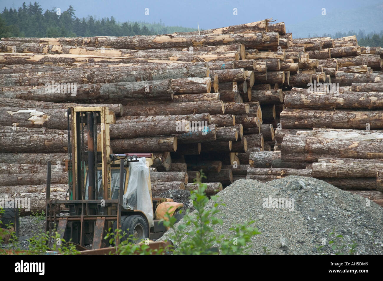 Logs piled high in a timber yard at Klawock on Prince of Wales Island