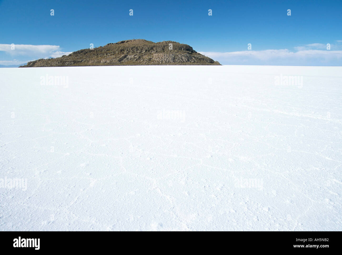 Isla de los Pescadores in centre salt flats Salar de Uyuni Southwest Highlands Bolivia South America Stock Photo