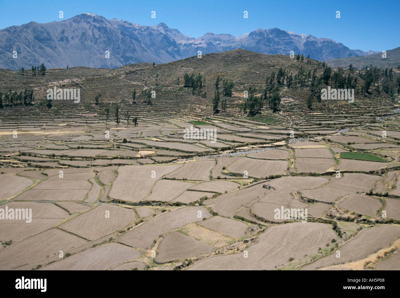 Field patterns near Chivay in winter above the Colca Canyon Peru South America Stock Photo