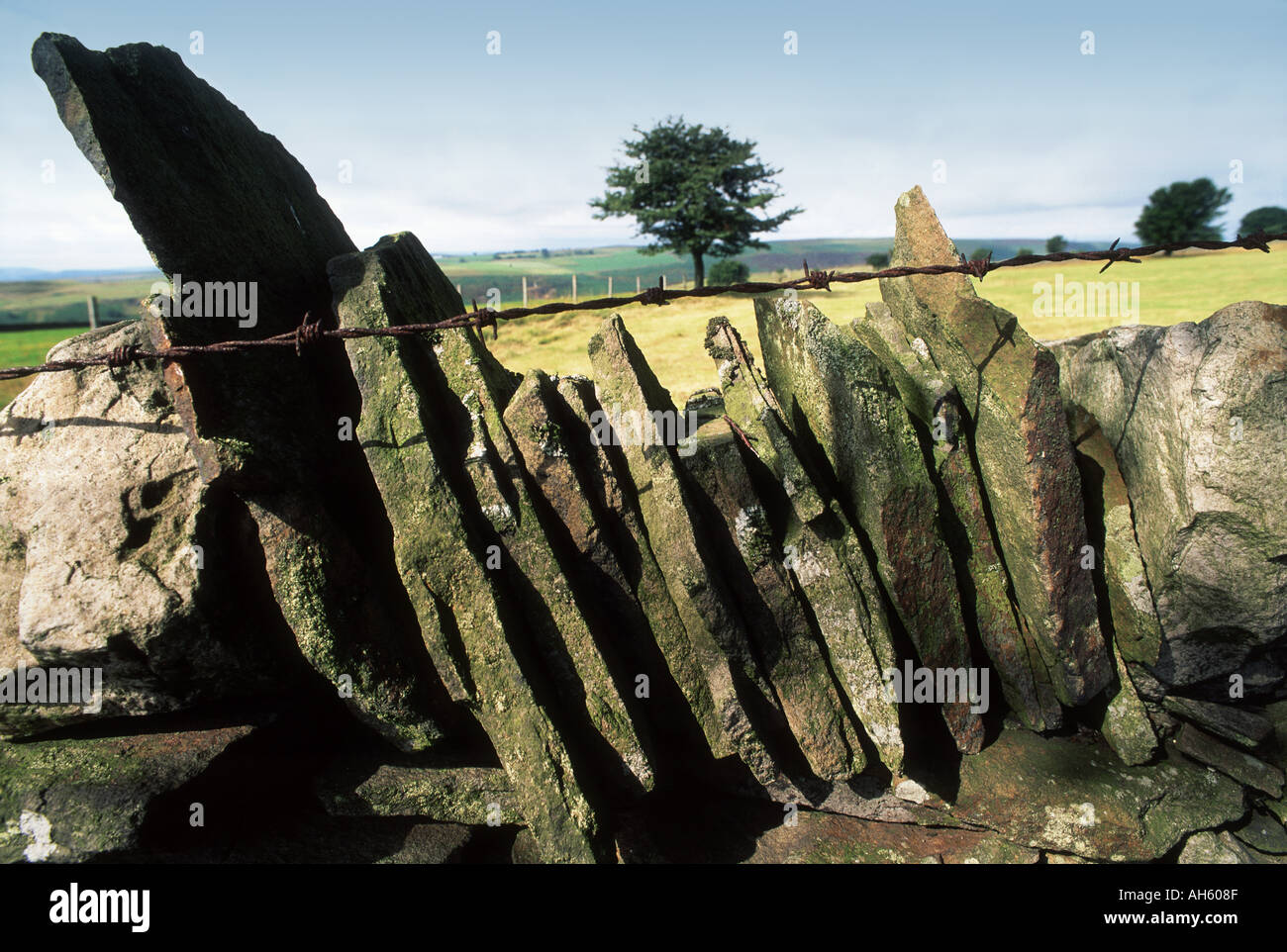 Dry stone wall with country background Stock Photo