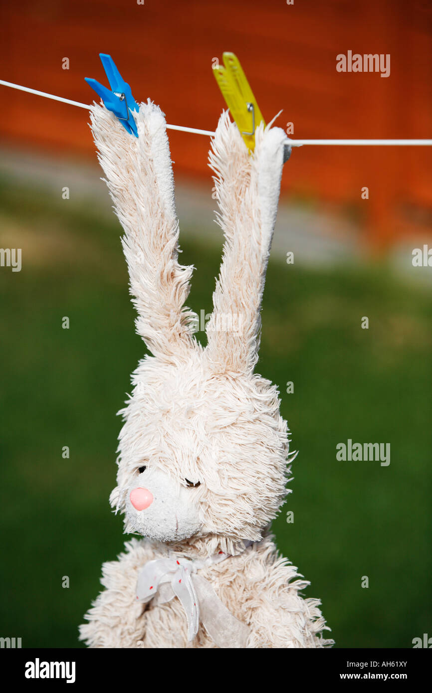 Teddy bear on a washing line hi-res stock photography and images - Alamy