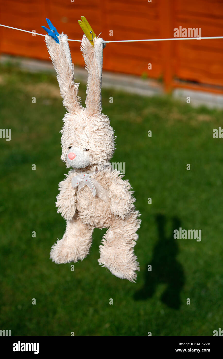 Teddy bear on a washing line hi-res stock photography and images - Alamy