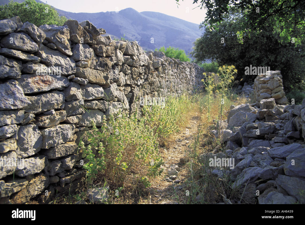 A rural walk on the Greek island of Symi Stock Photo