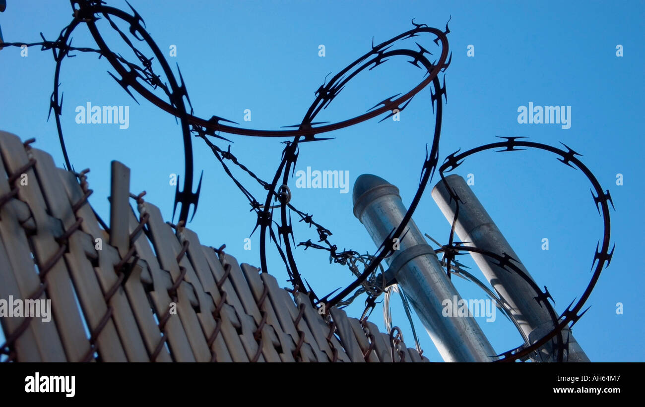 Looking up at razor wire on chain link fence Stock Photo Alamy