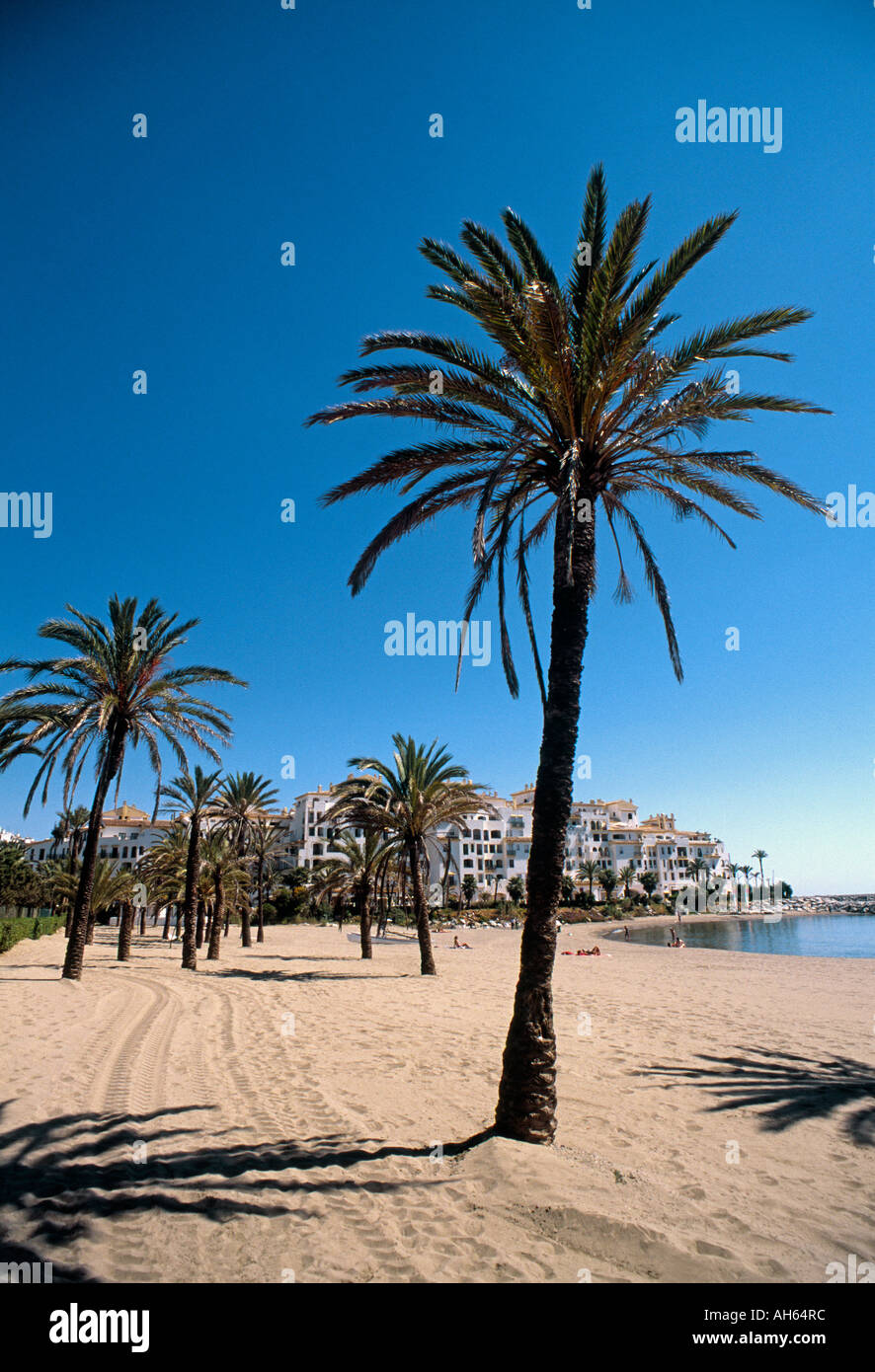 Puerto Banus beach. Marbella. Malaga province. Costa del Sol. Andalucia.  Spain Stock Photo - Alamy