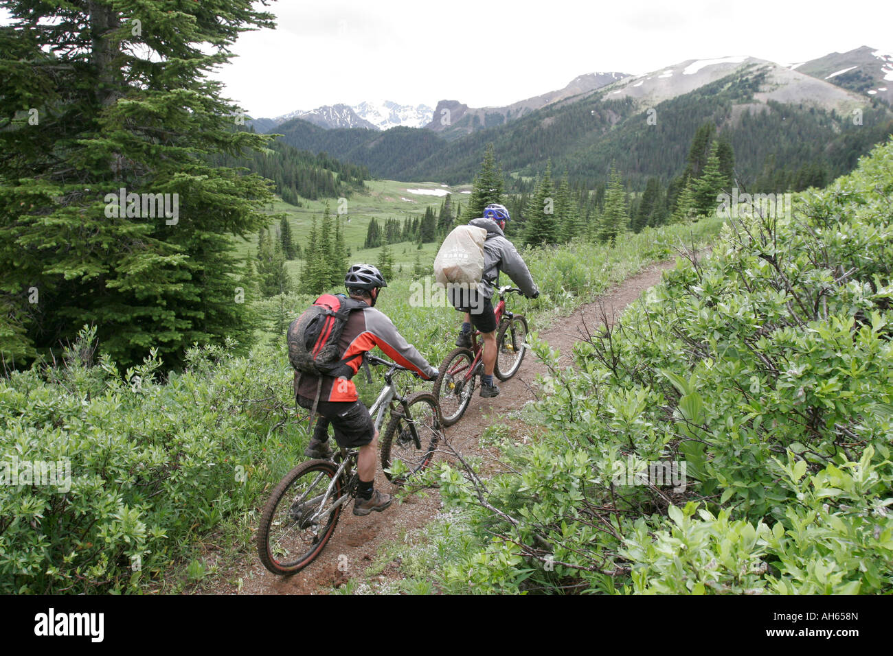 mountain bike camping trips