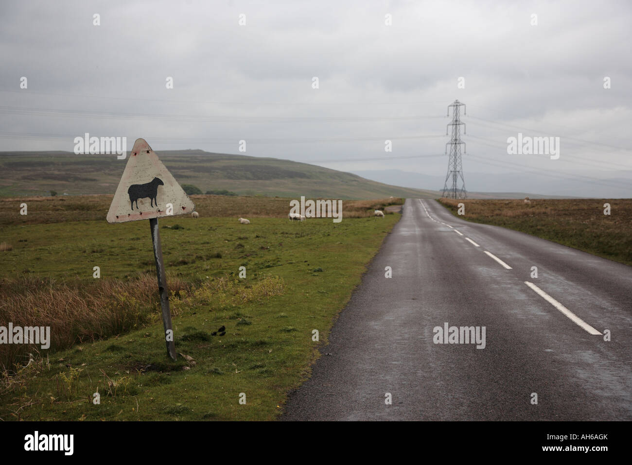 Sheep road sign and pylon on the road from Shap to Orton Cumbria Stock Photo