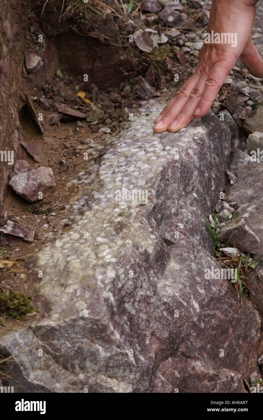 Trace fossil burrow hi-res stock photography and images - Alamy