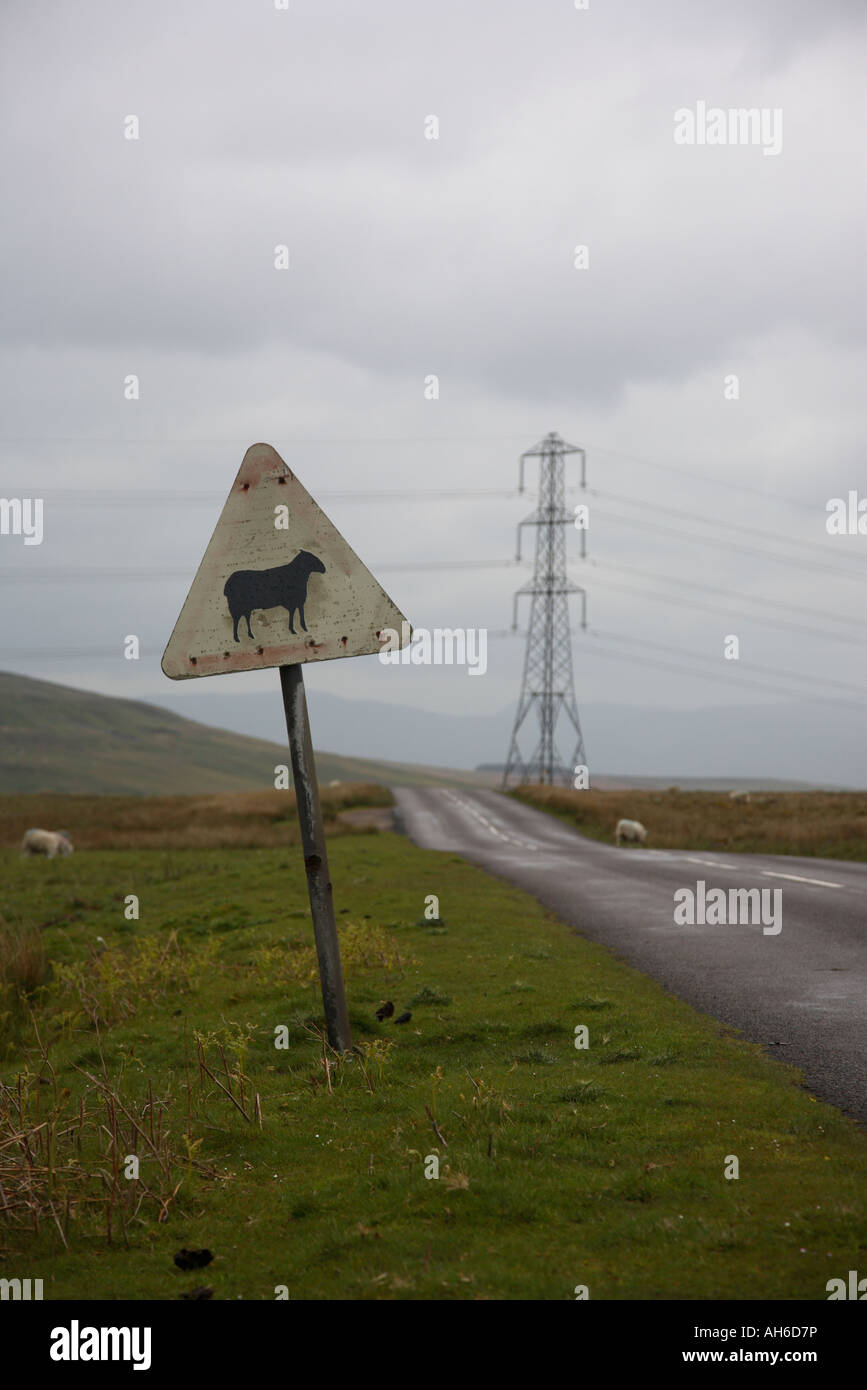 Sheep road sign and pylon on the road from Shap to Orton Cumbria Stock Photo