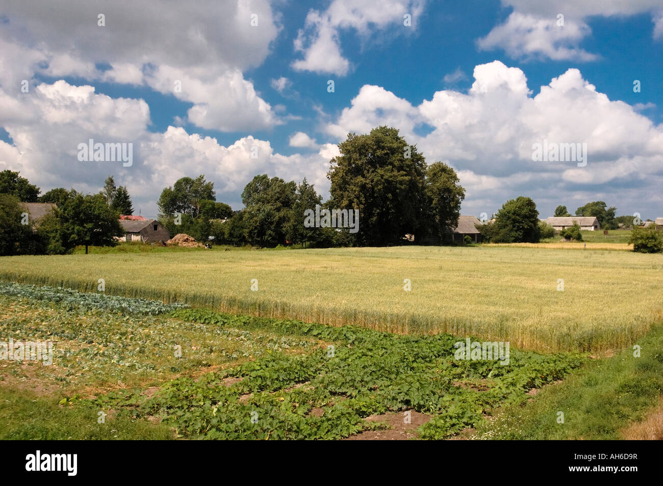 Fields in Eastern Poland Warmia Suwalki Mazuria Stock Photo