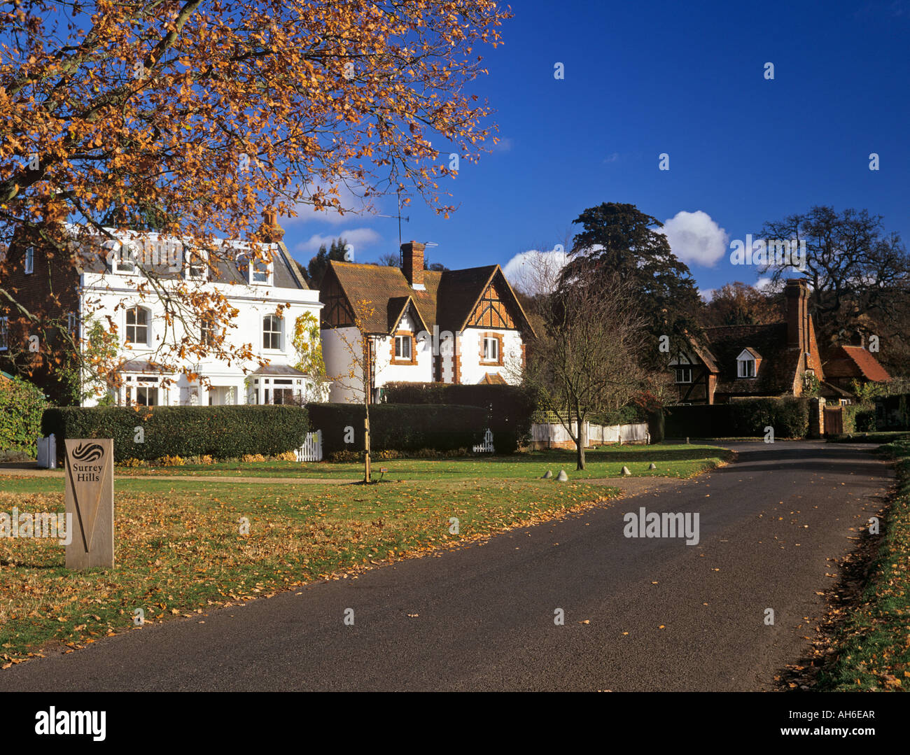 Houses overlooking a village green with 'Surrey Hills' sign beside narrow lane in autumn Shamley Green Surrey England UK Britain Stock Photo