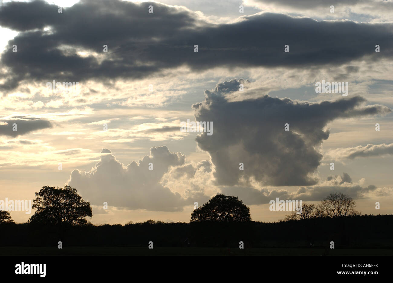 Grey clouds in stormy sky with silhouetted trees below Stock Photo - Alamy