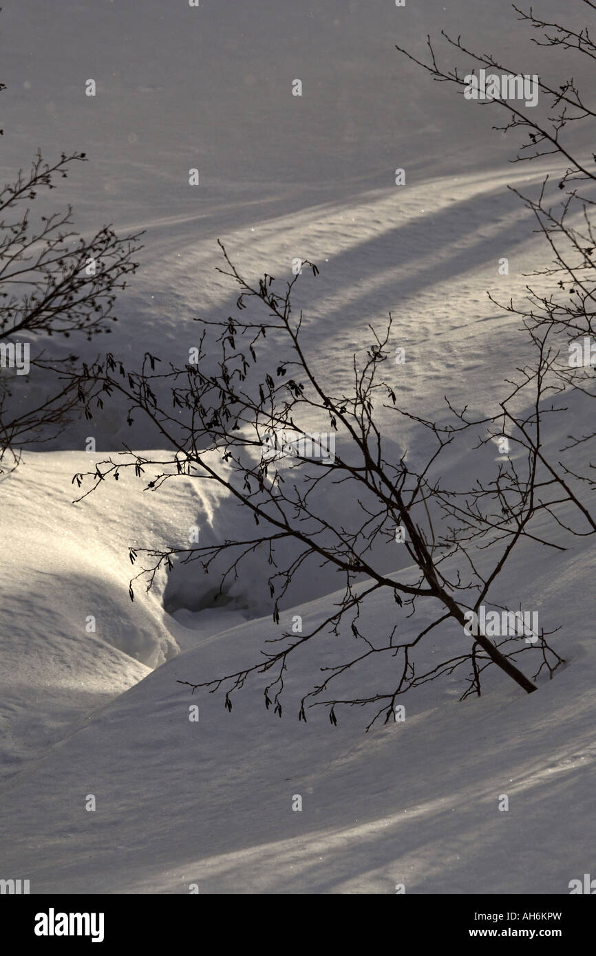 Shadows on the snow Stock Photo - Alamy