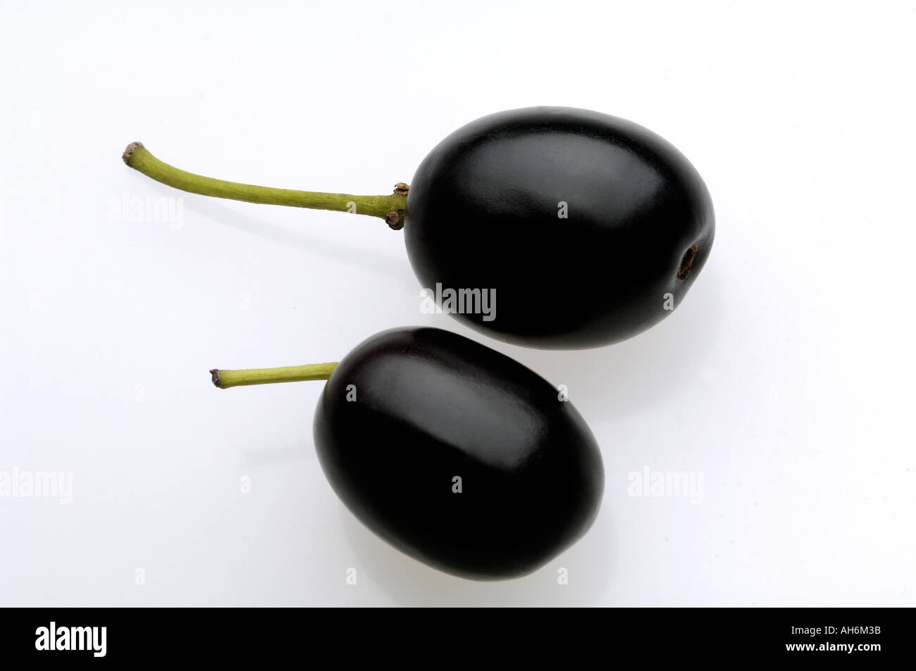 Jambu black deals