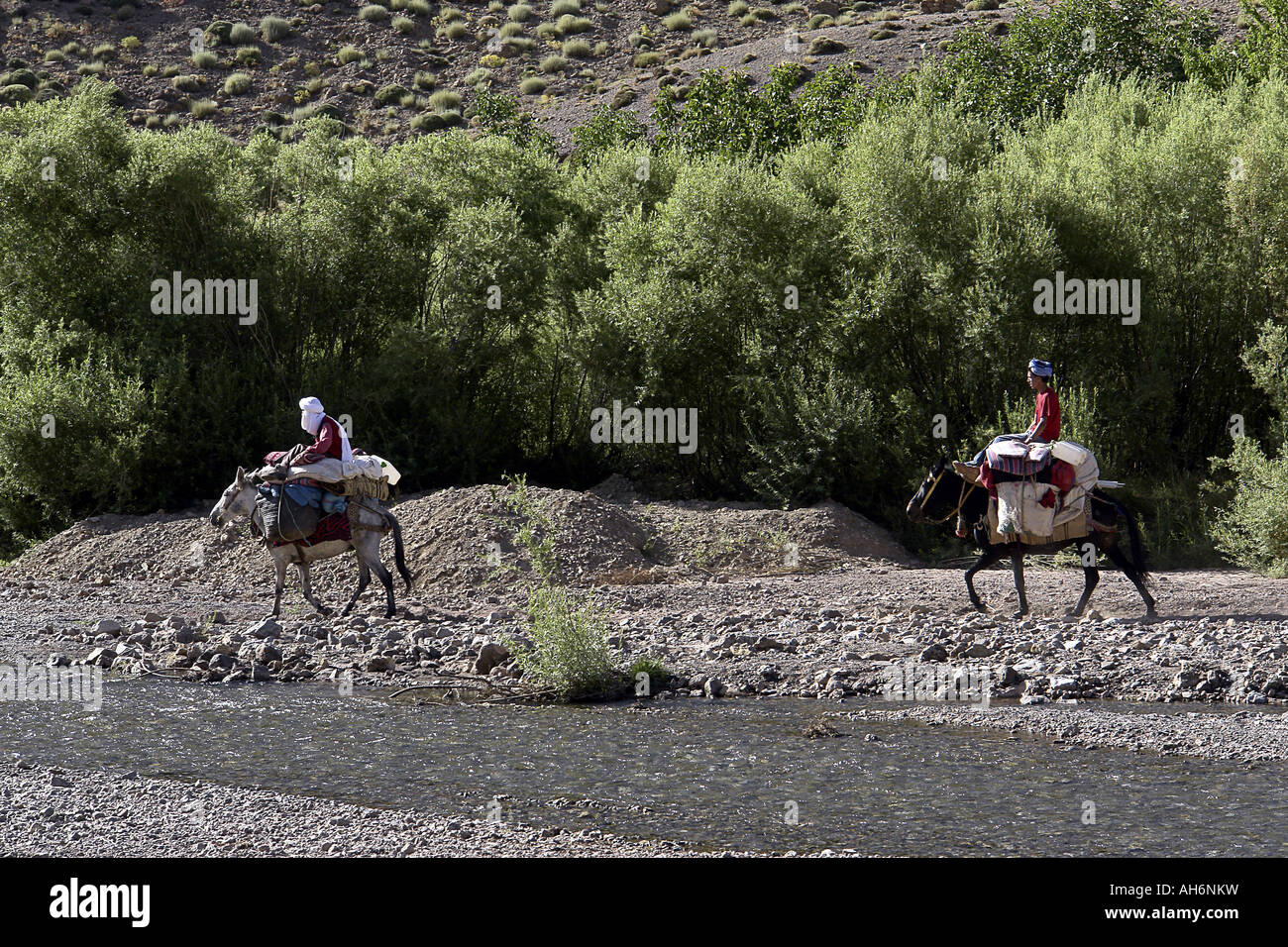 Europeans tourist doing mule trekking by a river in Morocco Stock Photo