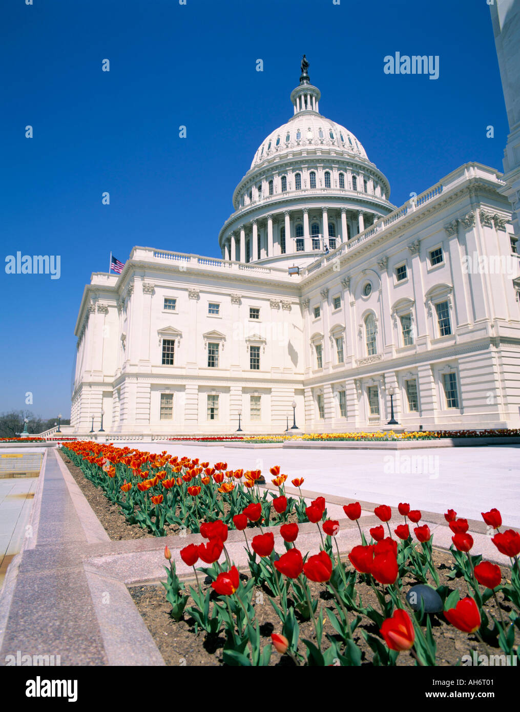 Capitol building Washington DC United States of America North America ...