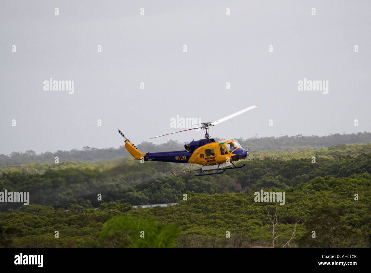 Helicopter insects hires stock photography and images Alamy