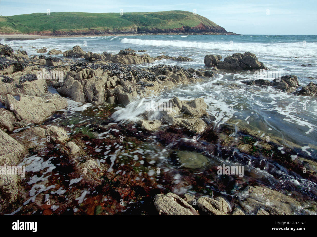 Rocky shore Pembrokeshire Wales Stock Photo