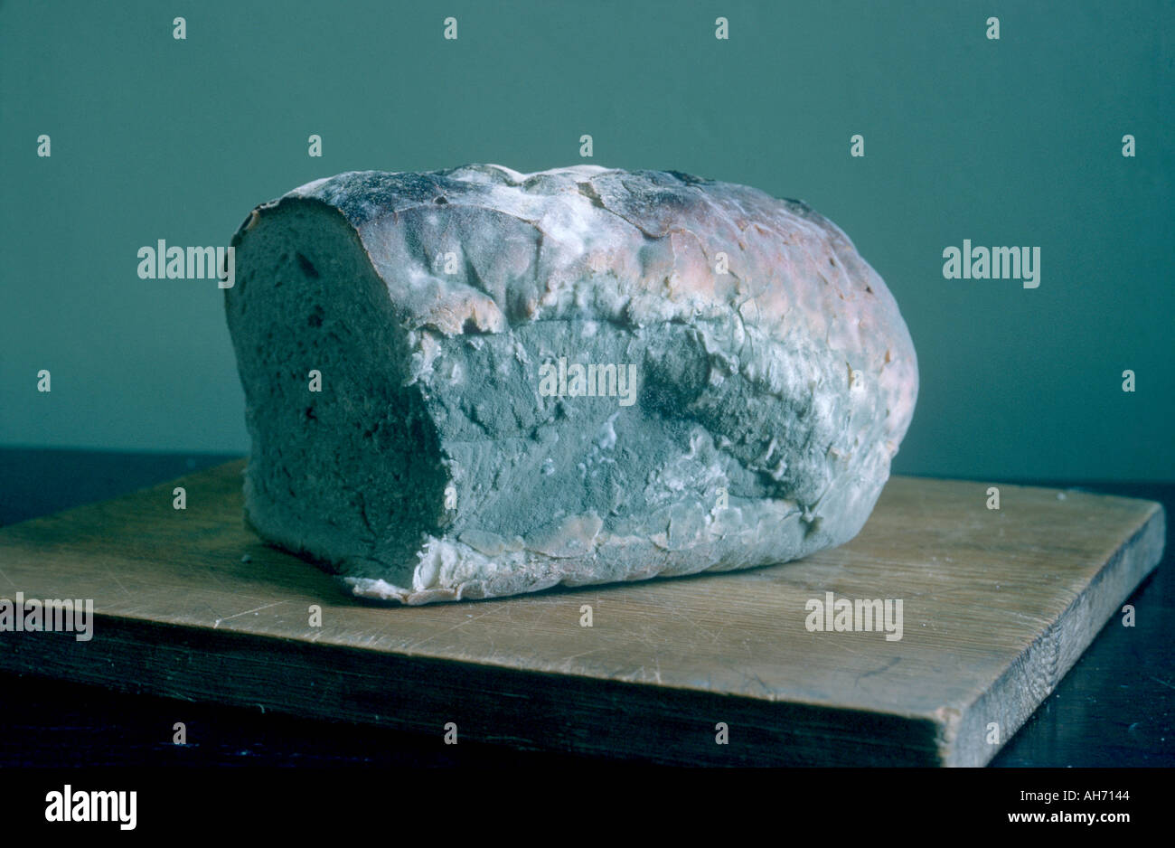 Mouldy bread hi-res stock photography and images - Alamy