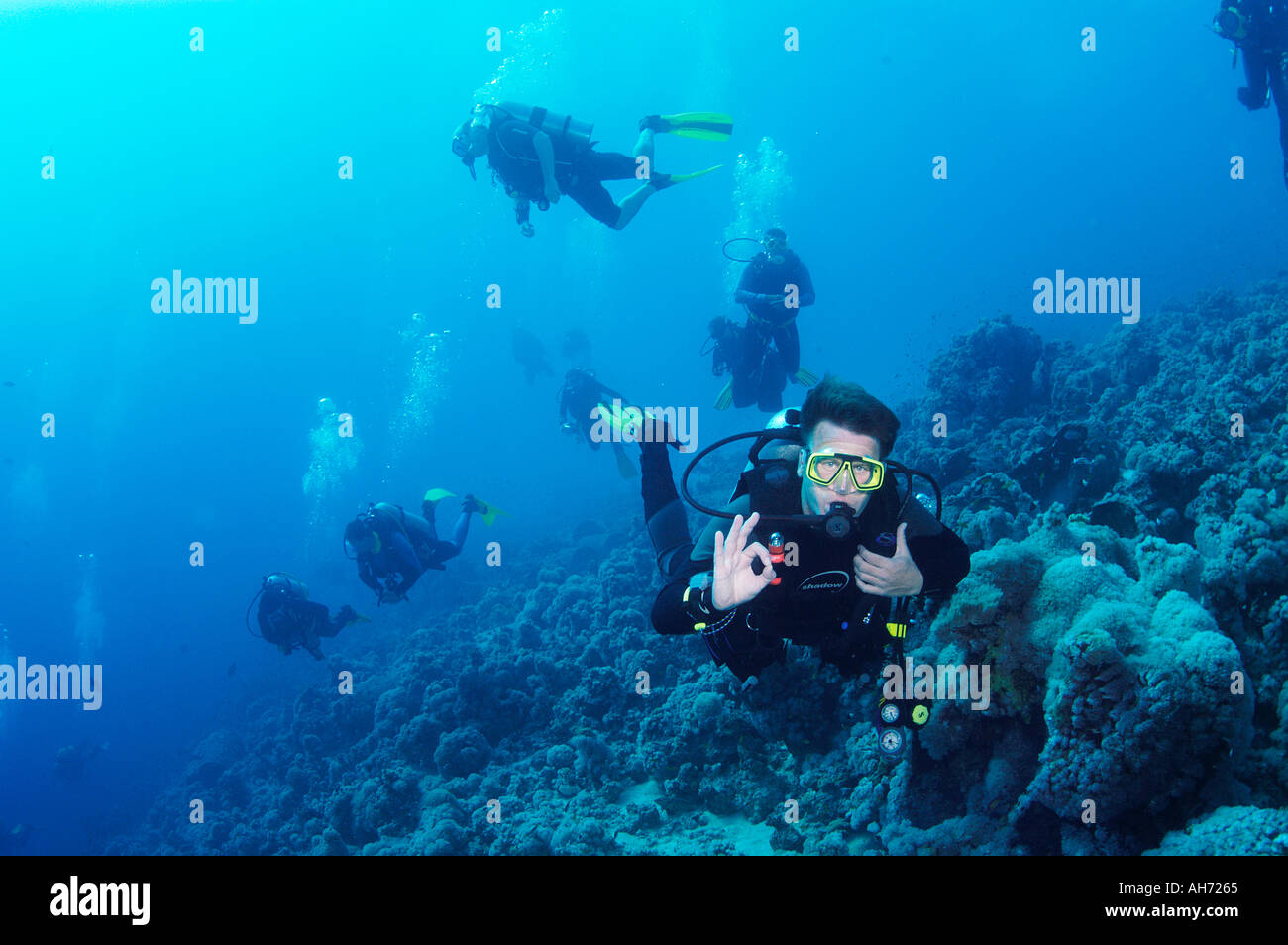 EGYPT RED SEA SHARM EL SHEIKH SCUBA DIVING STROUD VALLEY SUBAQUA CLUB