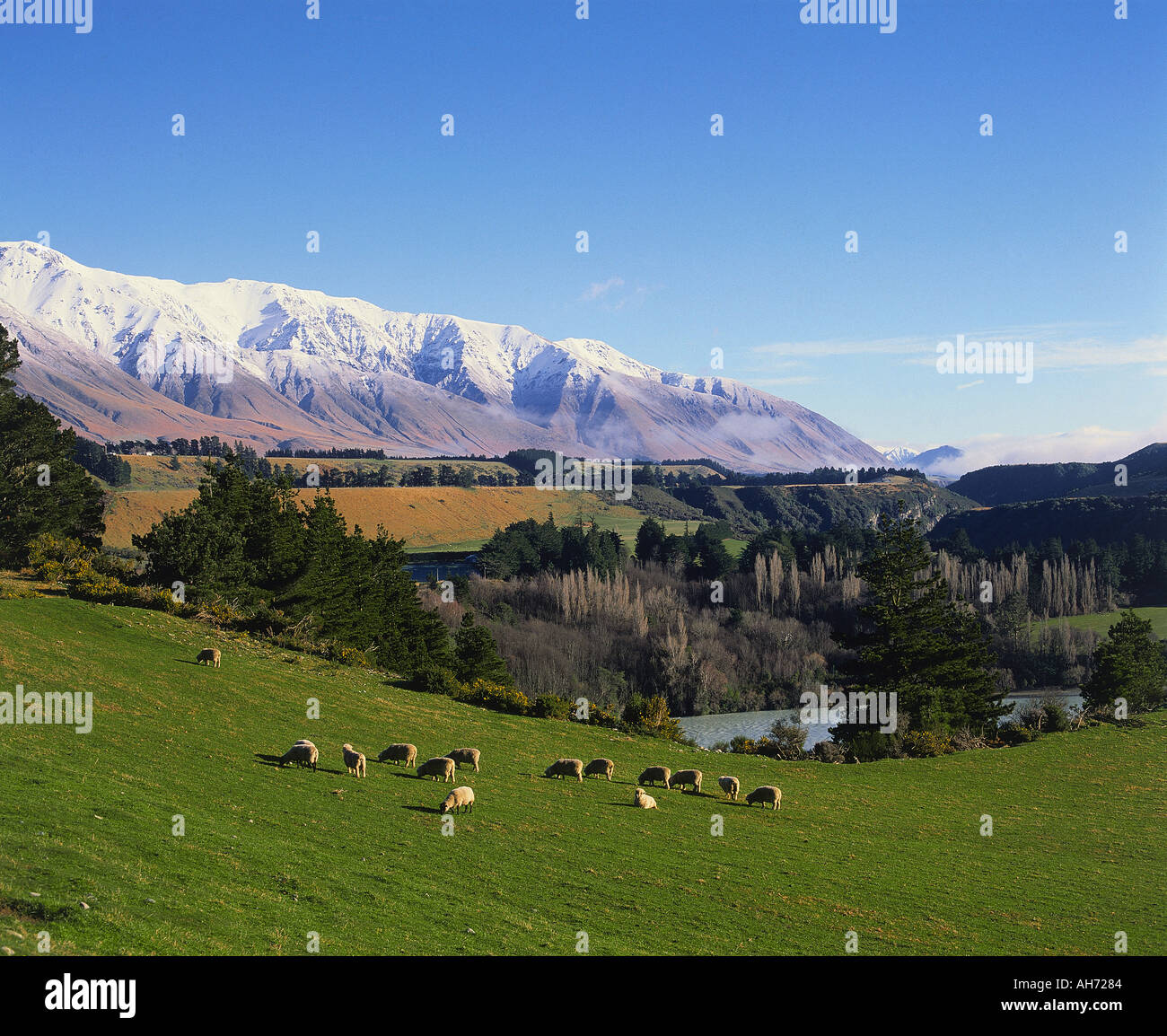 Canterbury Plains NZ Stock Photo Alamy