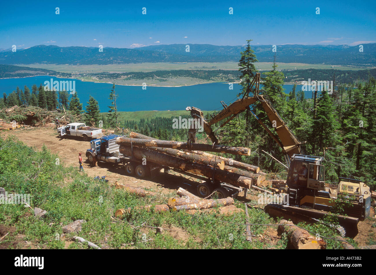 Logging truck and national forest hires stock photography and images