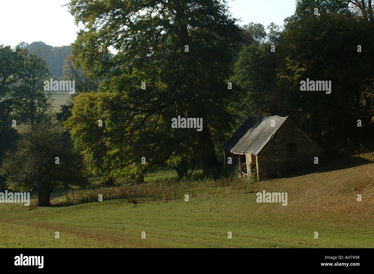 Old cattle shed in the Cotswolds UK Redundant farm building in ...