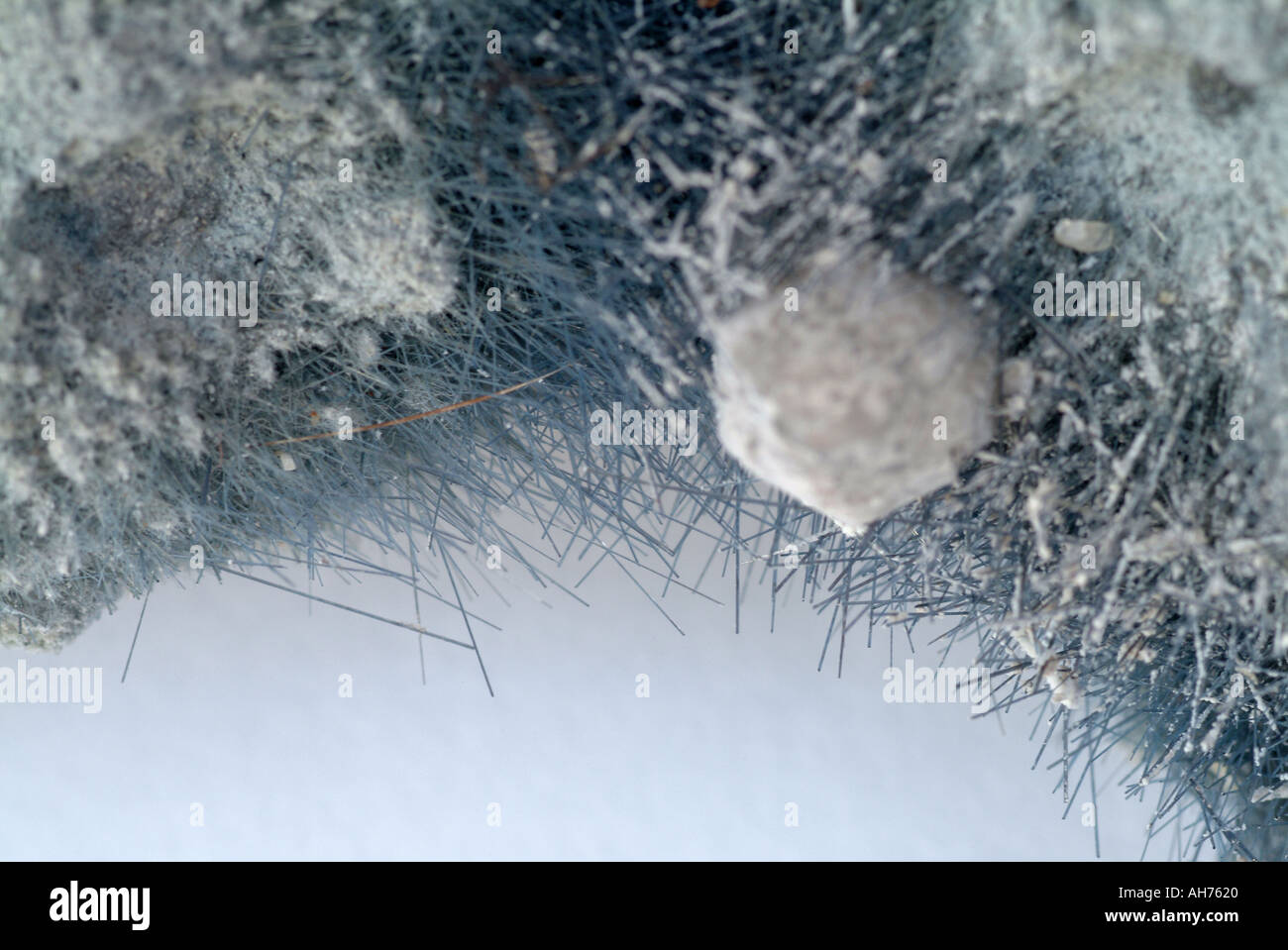 Mineral Tourmaline, Varient Achroite, North Goonbarrow pit, Bugle