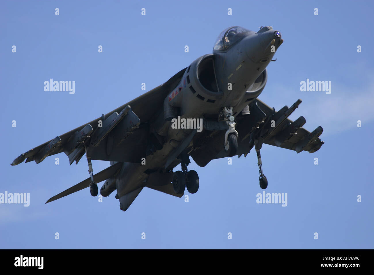BAe Harrier GR7 Stock Photo - Alamy