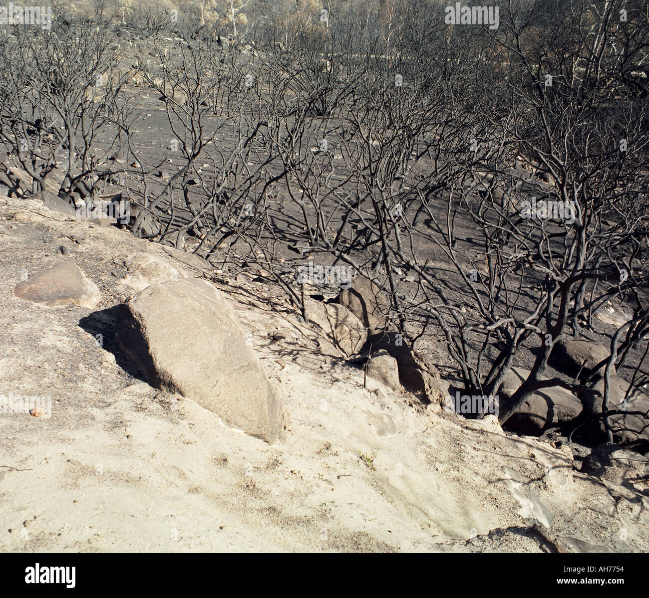 San Diego Fires 2003 Stock Photo - Alamy