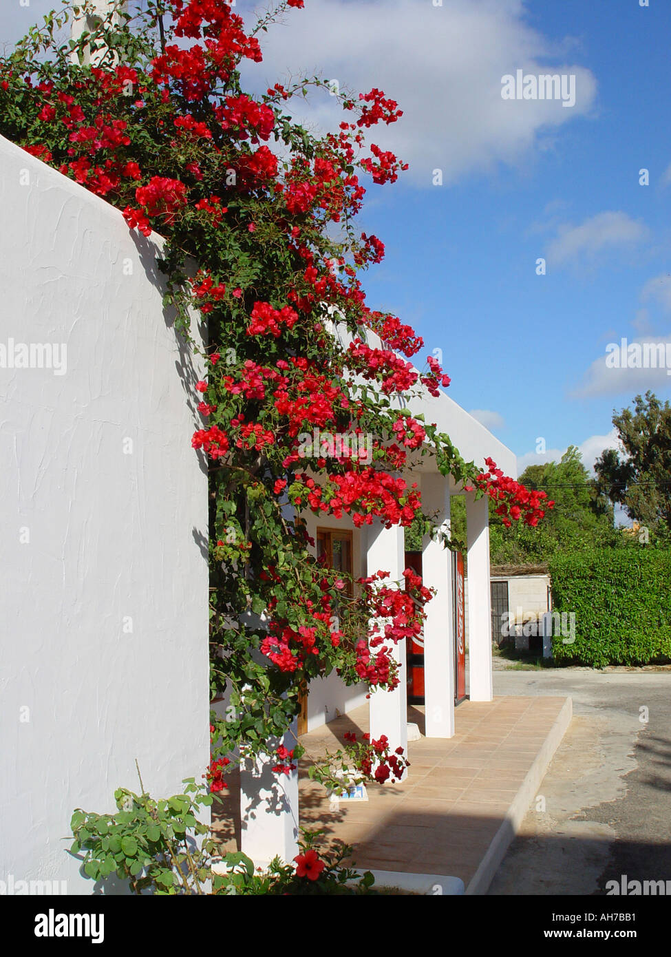 Ibiza appartment with bougainvillea against blue sky Stock Photo
