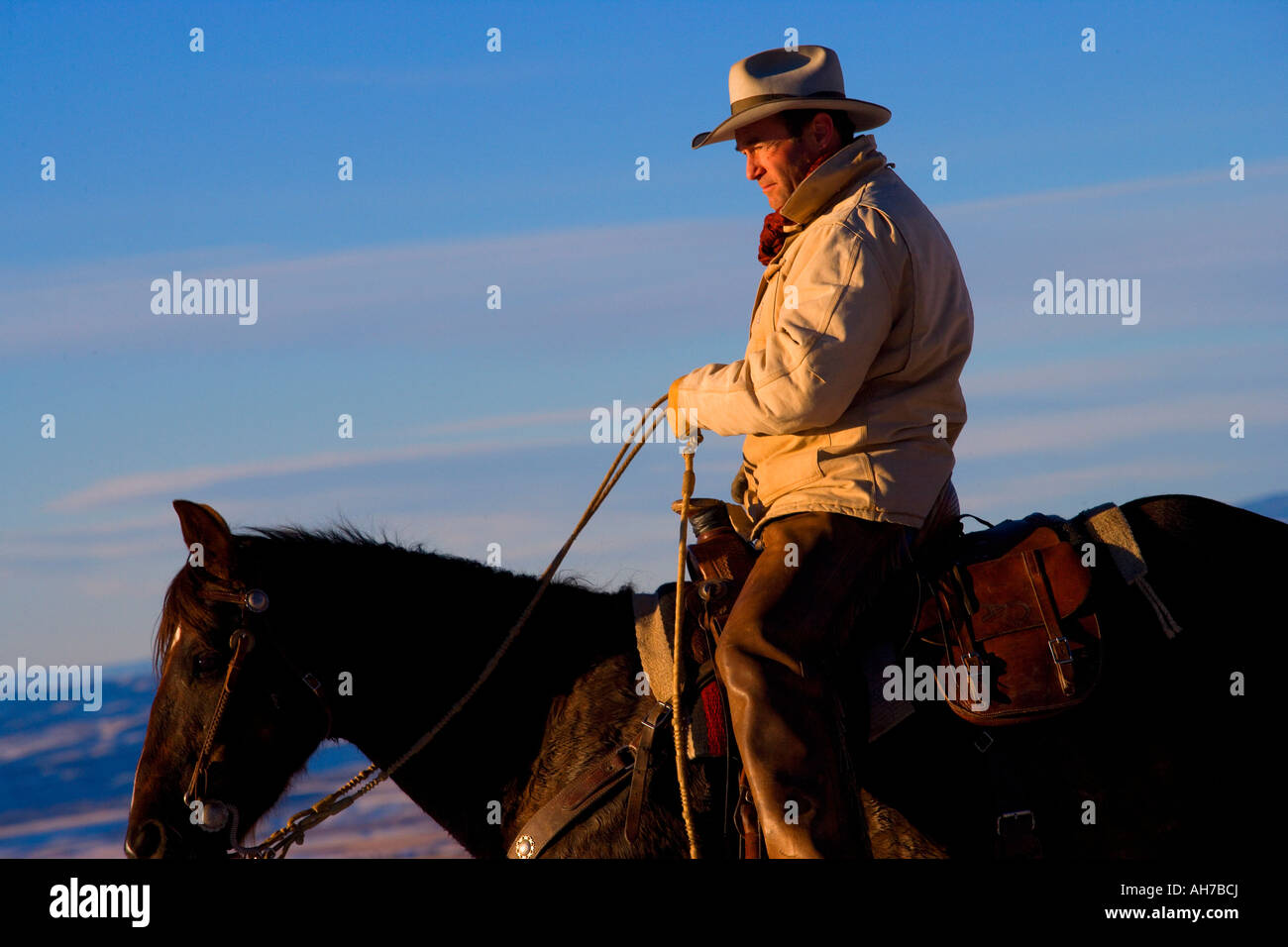 Mature man riding a horse Stock Photo - Alamy