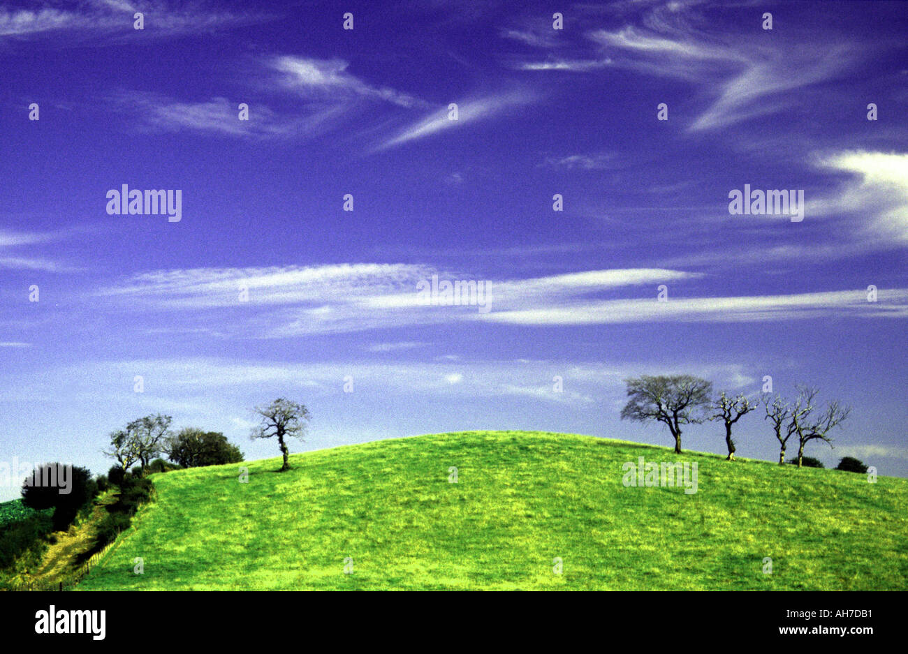 Hillside landscape, Chryston, Kirkintilloch, Glasgow Stock Photo Alamy
