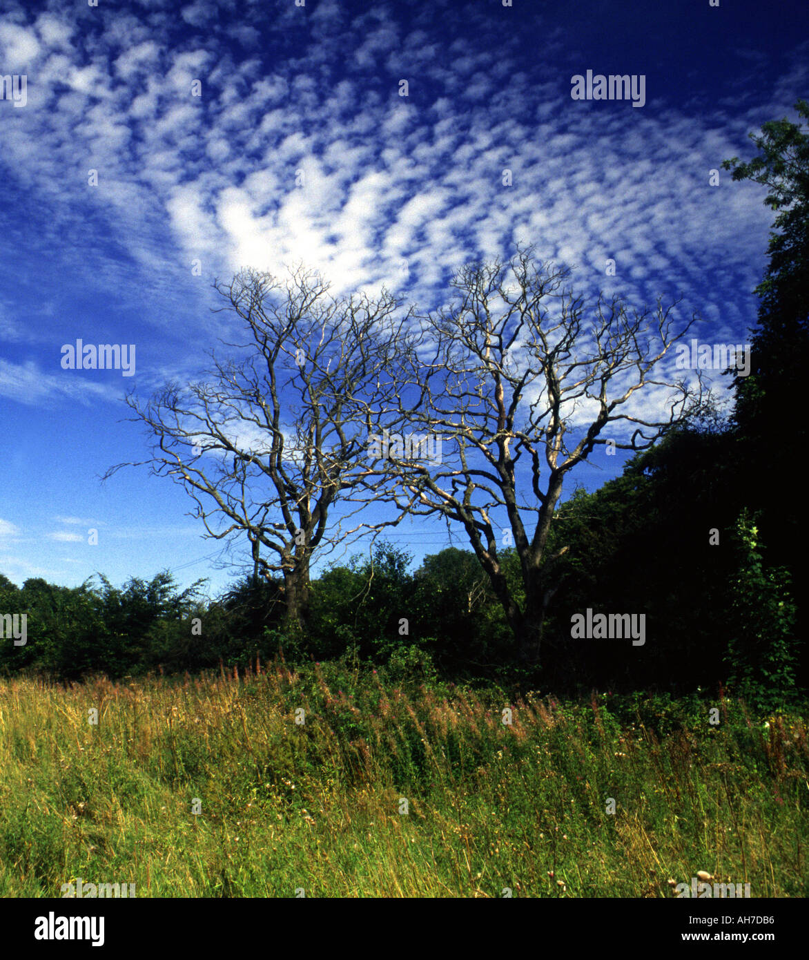 Chryston, Kirkintilloch, Glasgow Stock Photo Alamy