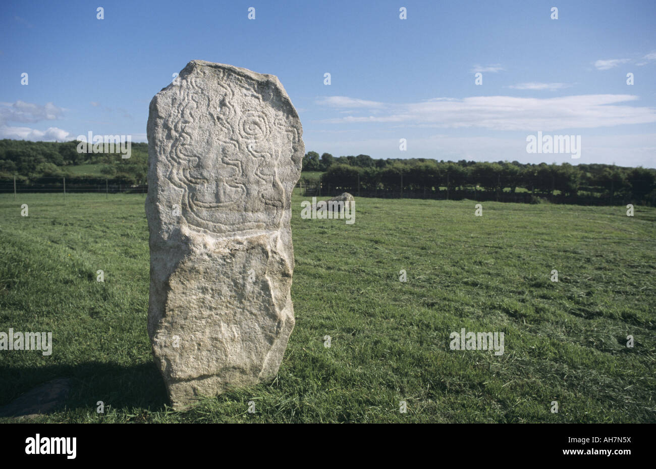 replica patterned stone at Bryn Celli Ddu burial chamber, Anglesey Stock Photo