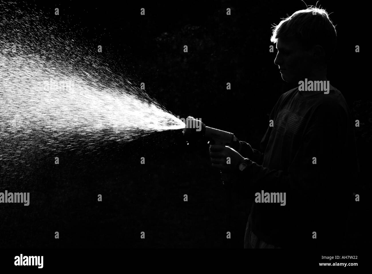 Boy watering a garden late on a summer afternoon Stock Photo Alamy