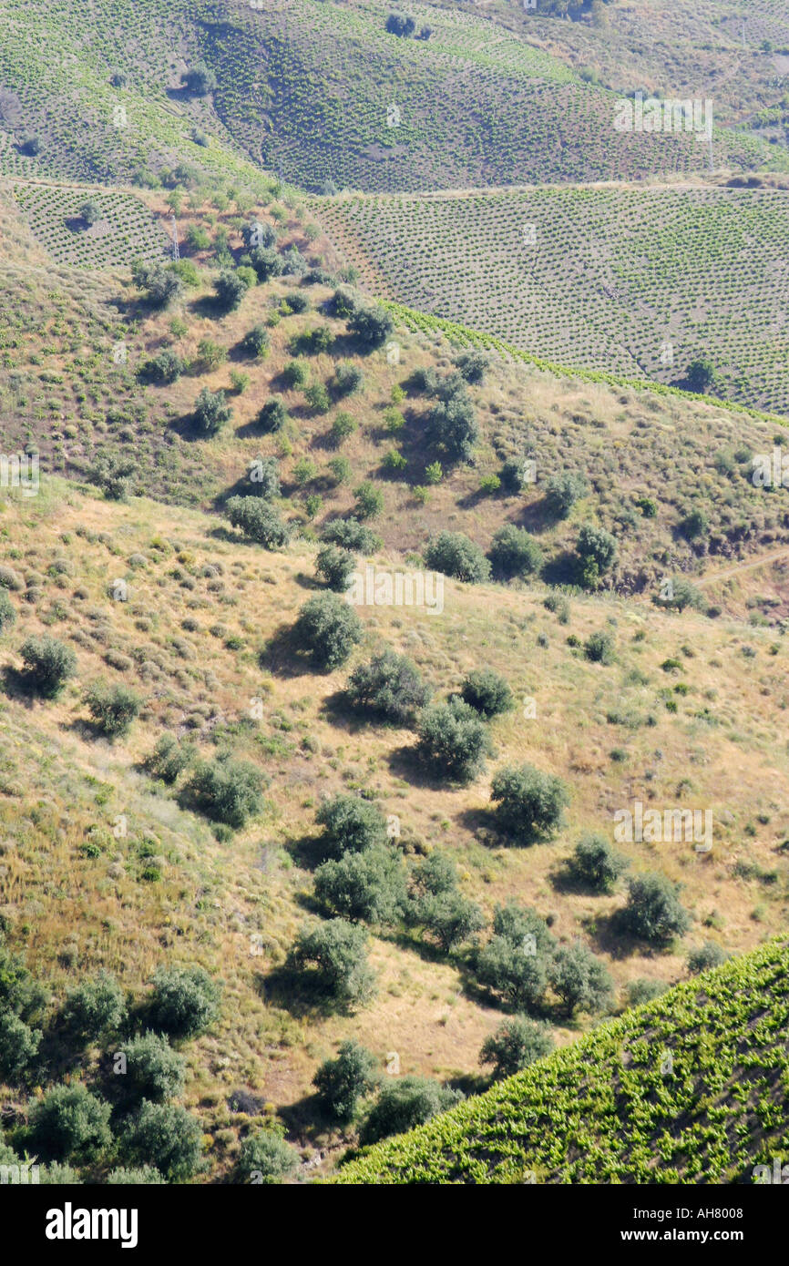 Countryside near Almachar Axarquia Region Malaga Province Spain Stock