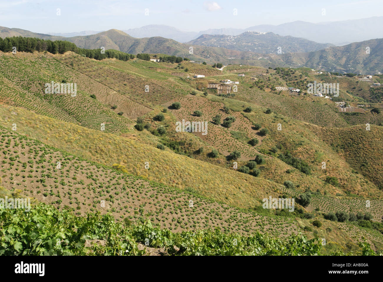 Almachar hires stock photography and images Alamy